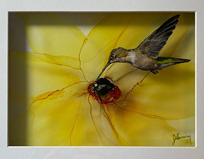 Nature Shadows, Hummingbird on Yellow