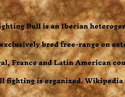 The Spanish Fighting Bull