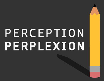 Perception Perplexion