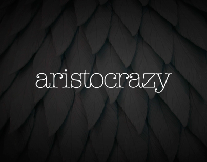 Web Aristocrazy