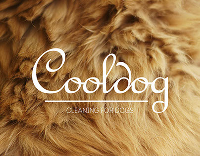 Cooldog. Cleaning for dogs