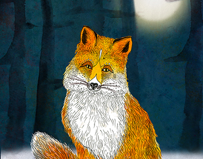 Midnight Fox