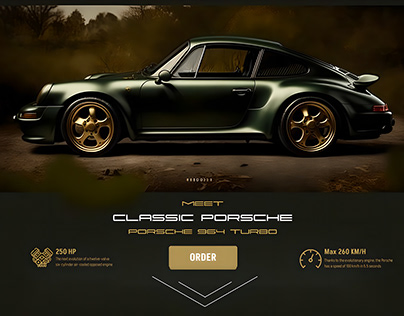 Landing page for Porsche