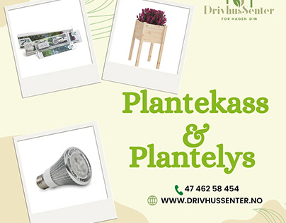 Det Beste Stedet Å Kjøpe Plantekasser, Plantelys