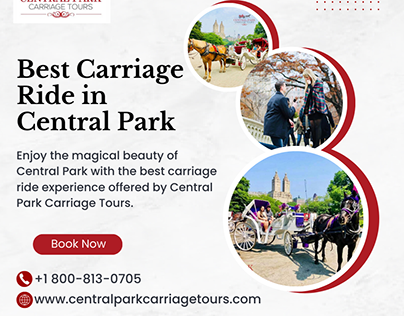 Experience the Best Carriage Ride in Central Park
