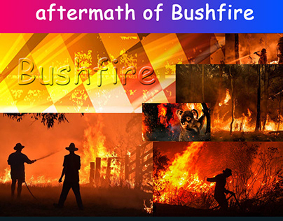 BushFire