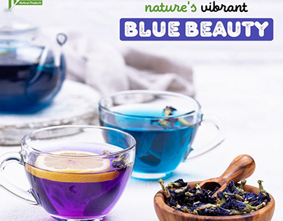 The Vibrance of Nature with our Blue Tea - Mohanfarm