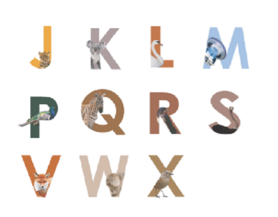 Book design "Alfabetul cu animale"