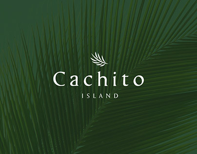 Cachito | Branding