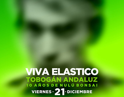 Flyer recital Viva Elástico