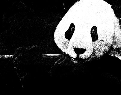 Panda Scratch Art