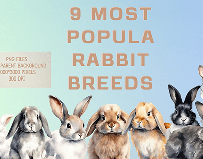 9 Most Popula Rabbit Breeds