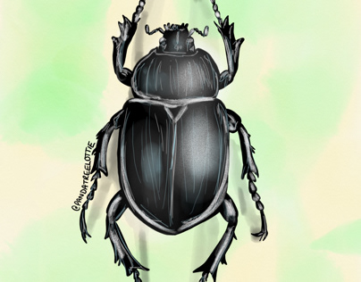 Beetle man