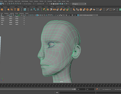 create face of a character from scratch