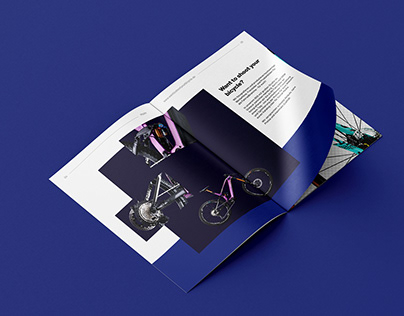 Service Brochure: Creative Layout for a Shooting Studio