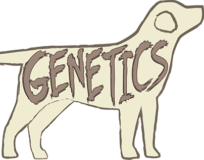 Genetics Lab(rador)