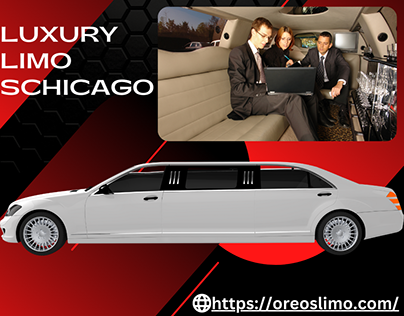 The best party bus rental service in Chicago ?