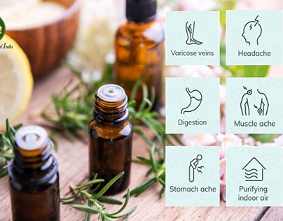 Discover the 7 Incredible Benefits of Rosemary Oil