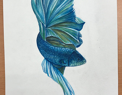 betta fish watercolor painting