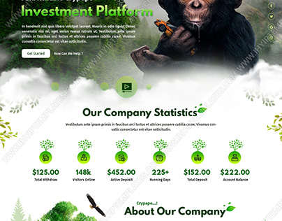 HYIP Templates at best price