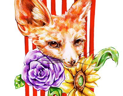 Spring Fox - Illustration