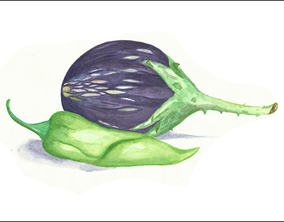 Nature Drawing (Eggplant & Green Chill)