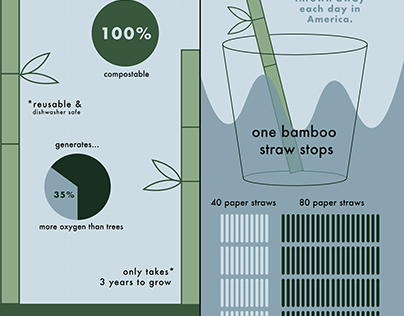 Straws Infographic