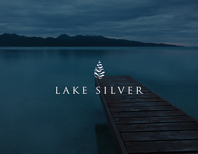 Lake Silver - Brand & Identity
