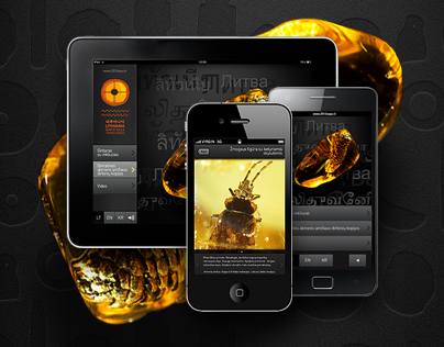 Lithuanian Amber Mobile app design and development