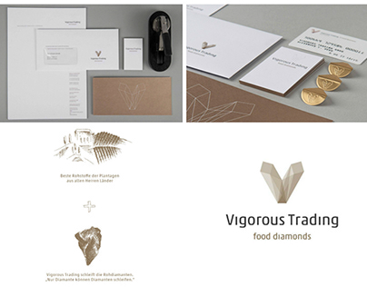 Vigorous Trading GmbH - Corporate Identity
