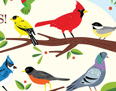 iPad App - PieceMe Birds