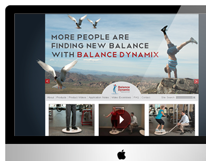 Balance Dynamix Website Concept