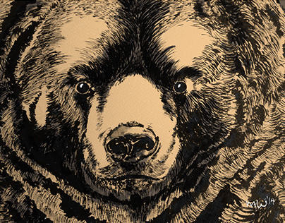 A portrait of a bear