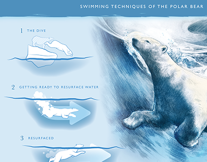 Polar Bear Swimming Techniques