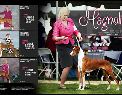 Sighthound Review Magazine Ad