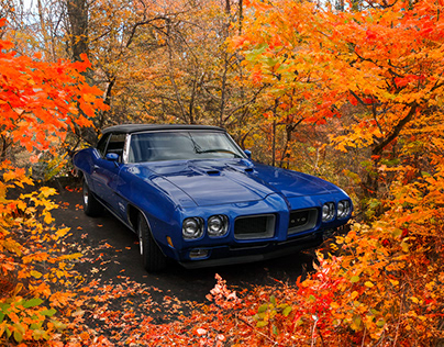 Fall into your GTO