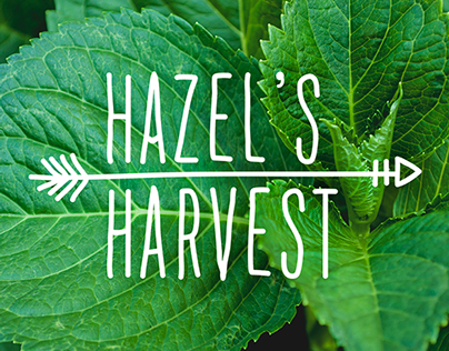 Hazel's Harvest Organic Farm