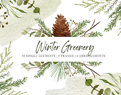 Free Winter Greenery Clipart Set