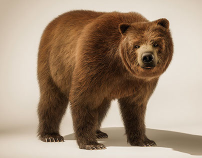 TANK the CGI Bear