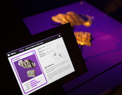 Interactive signs for dinosaur exhibition