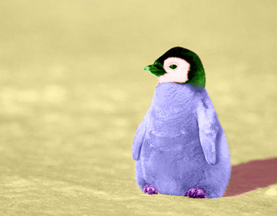 Coloured Penguin