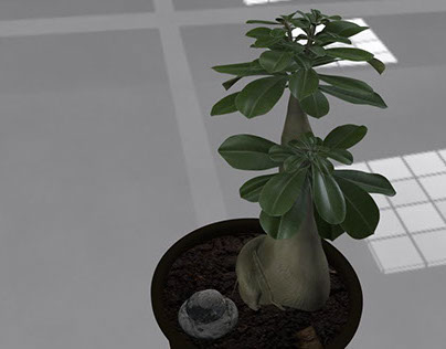 Plant Modeling & Texturing
