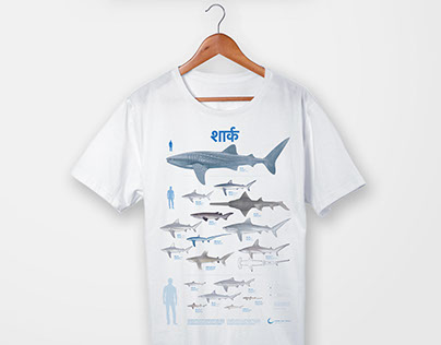Shark Conservation Project - Save Our Seas