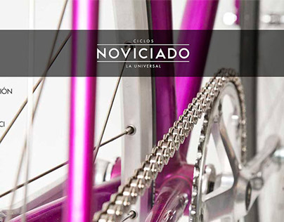Noviciado Website