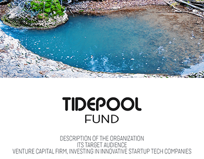 Tidepool Fund, a new venture capital firm