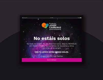 Fundación Carreras / Web Design