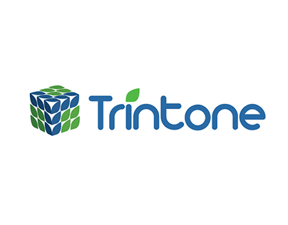 Trintone I.T Solution Services