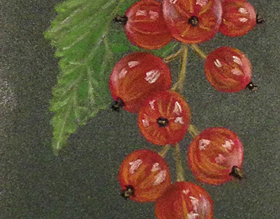 Red Currant and other small pieces