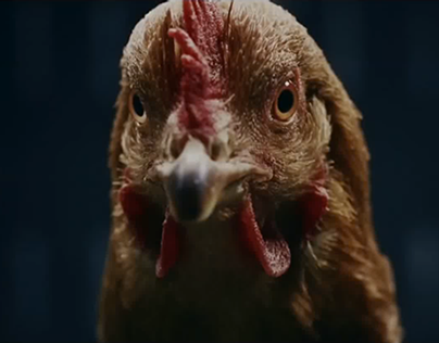 Mercedes Benz – www.chicken-control.com