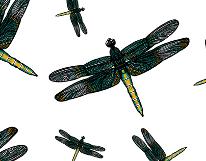 Dragonfly print
